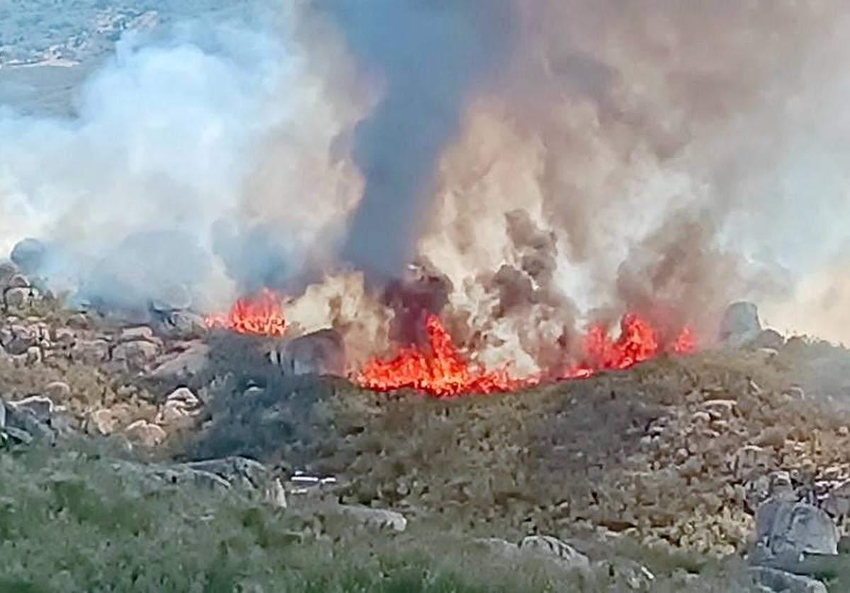 un-tendido-el-ctrico-origin-el-incendio-que-oblig-a-evacuar-a-50